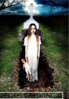 Poze.... - dead ......is a live - multimedia