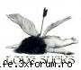 Poze.... - te_kraq... - multimedia