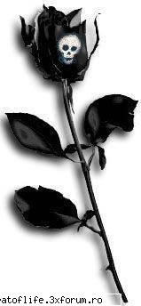 Poze.... - nebuna - multimedia