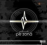 1. cum a luat fiinta acest vara lui 2005, pulse records a ajuns la o formula completa (tranda,